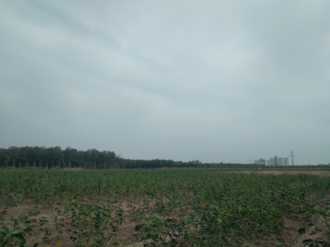 Cần bán mấy lô đất tại Bình Phước