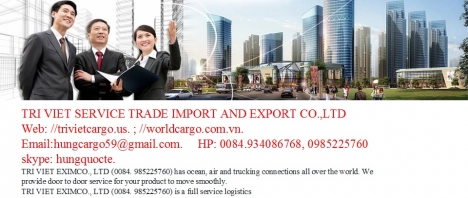 công ty dịch vụ vận tải container uy tín tại Việt Nam