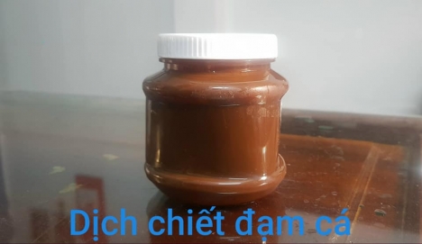 Fish Soluble Extract (Dịch chiết cá)