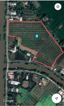 Cần sang lại trang trại 8500m2 tại xã Hậu Mỹ Trinh,Cái Bè,Tiền Giang