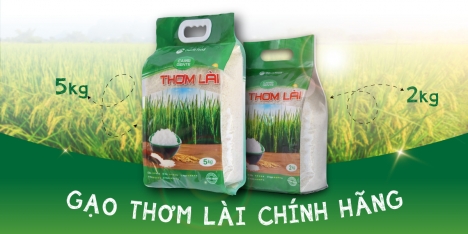 Gạo Thơm Lài gạo Thượng Hạng Gente Food 100% hảo hạng Freeship túi 5kg