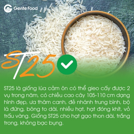 Gạo ST25 Thượng Gente Food Hạng 100% chuẩn ST25 freeship túi 5kg