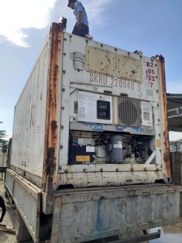 Thế Thanh container chuyên cont lạnh
