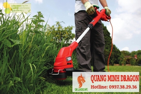 Dịch vụ cắt cỏ phát hoang, phun thuốc diệt cỏ trọn gói