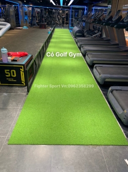 Sàn thảm phòng Gym. Cỏ Golf GYM