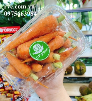 Mẫu hộp nhựa P500B đóng gói và bảo quản 500g trái cây hiệu quả