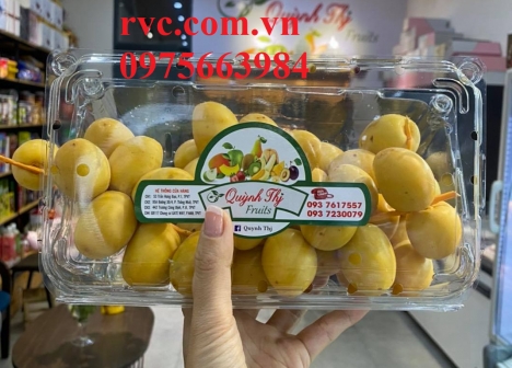 Hộp nhựa trái cây 1kg P1000A và những công dụng tuyệt vời  1072704058738167680