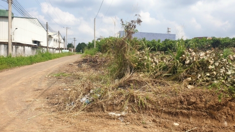 Chính chủ bán lô đất thổ cư tại xã Hưng Thịnh, Huyện Trảng Bom