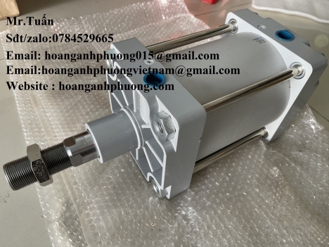 Xi lanh Festo DSBG-160-100-PPVA-N3 (chính hãng)