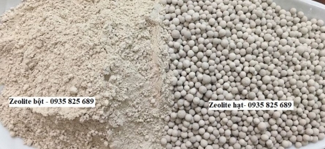 Những ứng dụng quan trọng của Zeolite trong nuôi trồng thủy sản
