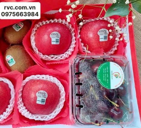 Bán hộp nhựa đựng cherry giá rẻ, uy tín nhất tại HCM