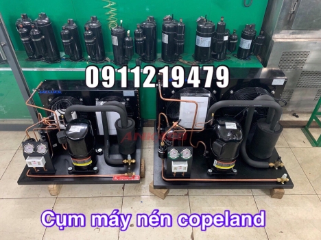 lắp đặt cụm máy nén Copeland 3hp CRNQ-0300 giá tốt