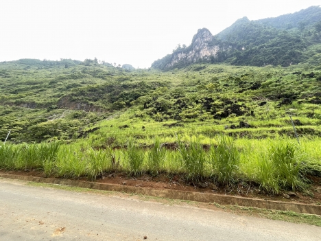 Bán đất hà giang - Bán mảnh 854m2, mặt tiền khoảng 33m xã cán tỷ, huyện quản bạ