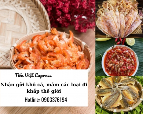 Nhận ship hàng thực phẩm đi nước ngoài Tiến Việt Express