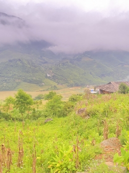 Đất nền Sapa view thung lũng Mường Hoa, đầy đủ sổ thổ cư, giá siêu rẻ