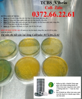 Đĩa test vi sinh kiểm tra khuẩn vibrio trên tôm