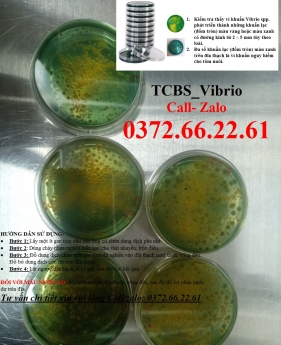 Đĩa thạch TCBS Agar giá rẻ - test mini - kiểm tra nhanh khuẩn nước ao