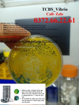 Thạch TCBS - test khuẩn tổng trên tôm