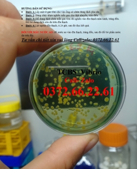 Đĩa test vi sinh kiểm tra khuẩn vibrio trên tôm