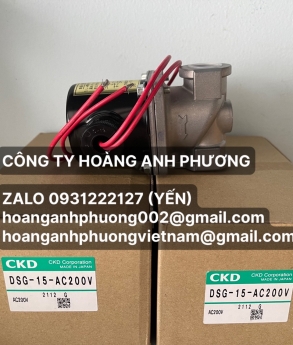 DSG-15-AC200V | Van ngắt gas CKD | Hoàng Anh Phương