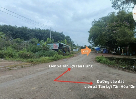 Đất Tân Lợi - Đồng Phú - Bình Phước