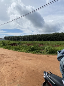 bán đất nền sổ đỏ tại trung tâm huyện Krông Năng tỉnh Đắk Lắk