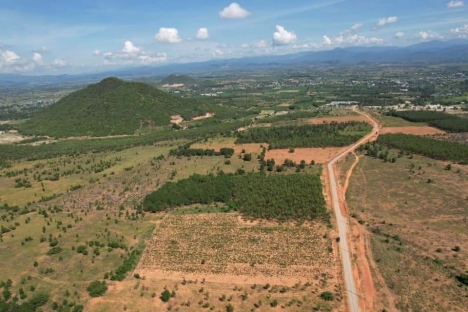 Thời điểm đầu tư đất biển farmstay Bình Thuận