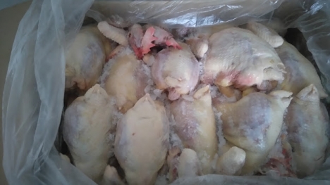 lắp đặt kho lạnh bảo quản thịt gà cung cấp chợ đầu mối