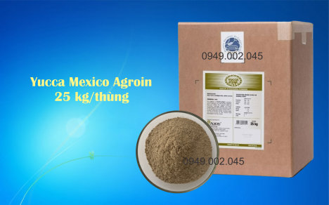 Yucca Star Powder (Yucca Agroin - Nguyên liệu Yucca bột nhập khẩu Mexico
