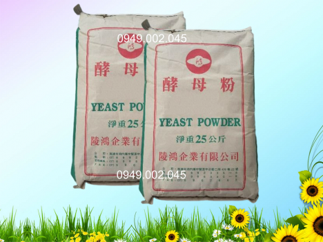 Yeast Powder - Đạm dinh dưỡng giúp nong to đường ruột tôm