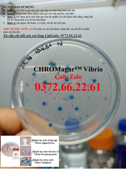 Đĩa kiểm khuẩn vibrio gây bệnh gan tụy