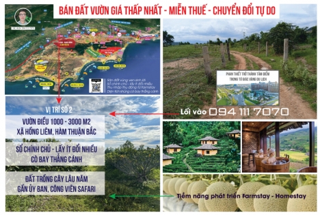 Bán nhanh lô đất Bình Thuận cho nhà đầu tư có kinh nghiệm