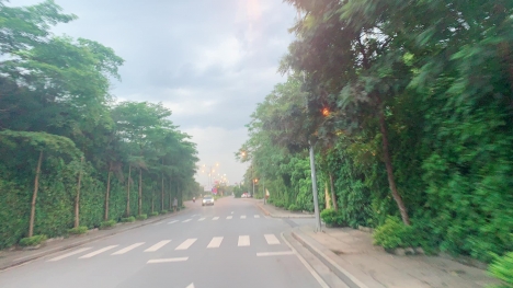 Bán đất khu 918 Long Biên, phân lô, ô tô tránh, chạy vòng quanh, 115m, 9 tỷ 6