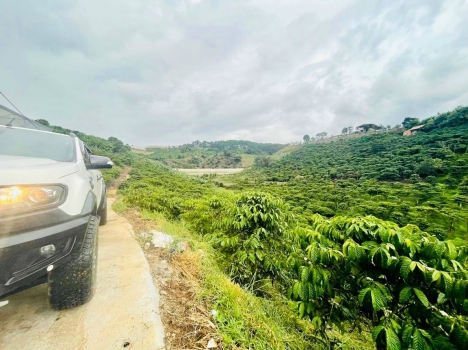 Kẹt tiền giảm giá bán gấp lô đất rộng view đẹp tại Tà Nung, Đà Lạt 2514m2 giá tốt chỉ 4.2 tỷ