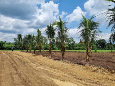 Bán đất nông nghiệp, lâm nghiệp, đất vừơn tại Đồng Nai.
