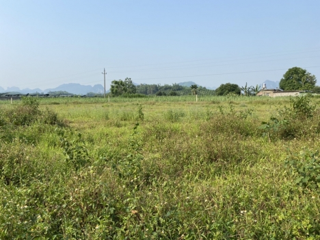 Chính chủ gửi bán lô đất 3000m2  có 544,4m2 đất thổ cư vài bước chân ra sông Bôi tại Kim Bôi - Hòa