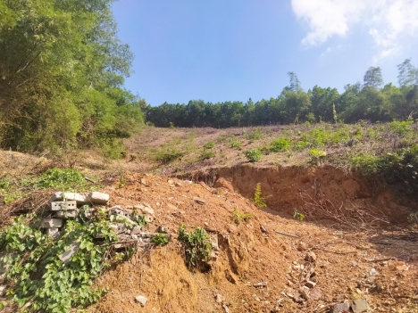 Bán nhanh mảnh đất 1.25ha 400m thổ cư đất thoải giá chỉ 1.2x tỷ tại Lương Sơn - Hòa Bình