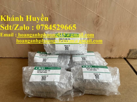 Xy lanh SSD-D-25-10-FL281492 hãng CKD hàng new nhập khẩu