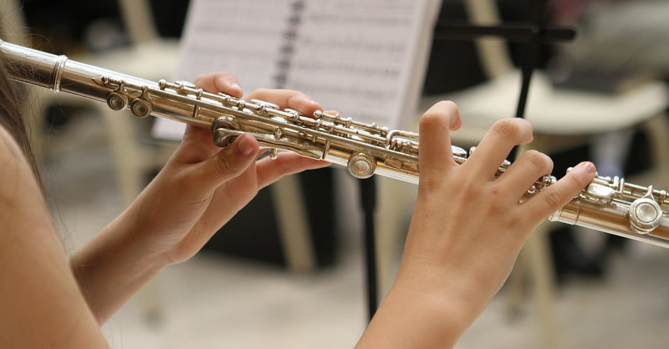 Dạy học sáo Flute - Online - Offline - Gia sư - Tập thể