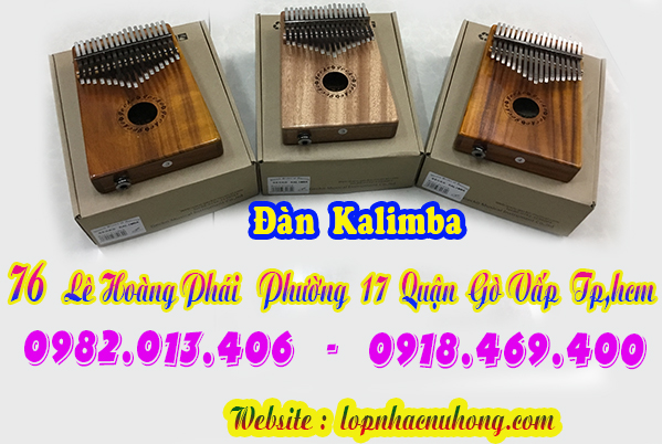 Địa chỉ nơi bán đàn kalimba tại Sài Gòn, Gò Vấp, Tphcm 