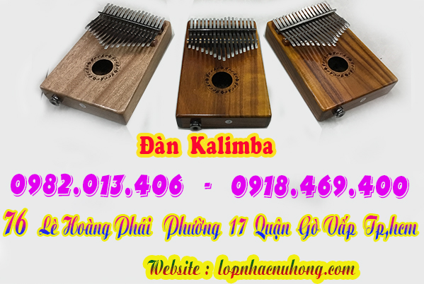 Địa chỉ nơi bán đàn kalimba tại Sài Gòn, Gò Vấp, Tphcm 