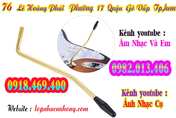 Nơi bán cần nhún guitar điện tại Sài Gòn 