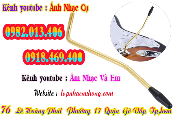 Nơi bán cần nhún guitar điện tại Sài Gòn 