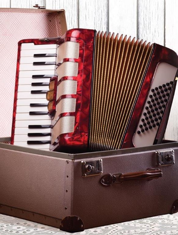 Bạn đã biết một số điều này về đàn accordion hay chưa ...........