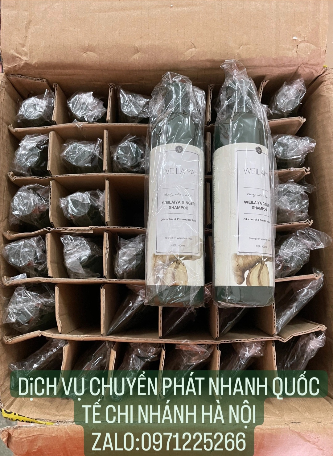 VẬN CHUYỂN HÀNG HÓA QUỐC TẾ VIỆT - ÚC (TIẾN VIỆT EXPRESS)