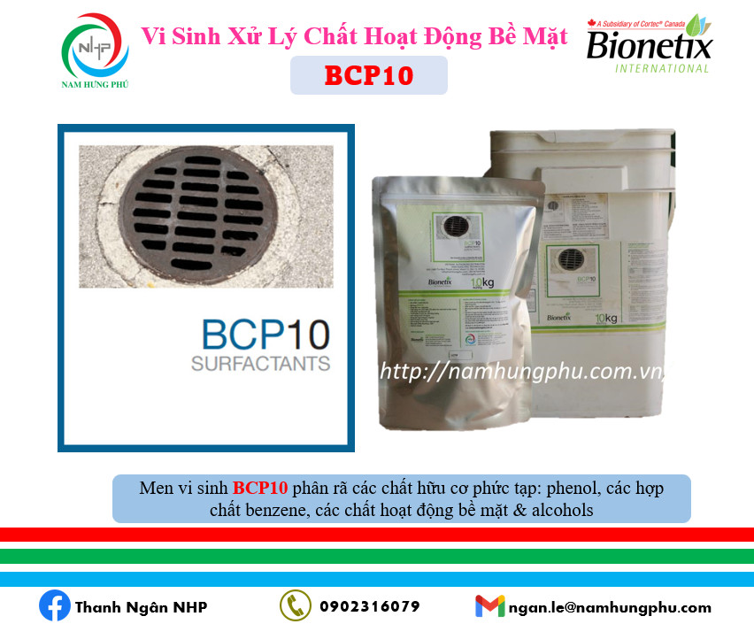 BCP10 men vi sinh xử lý nước thải có chất hoạt động bề mặt
