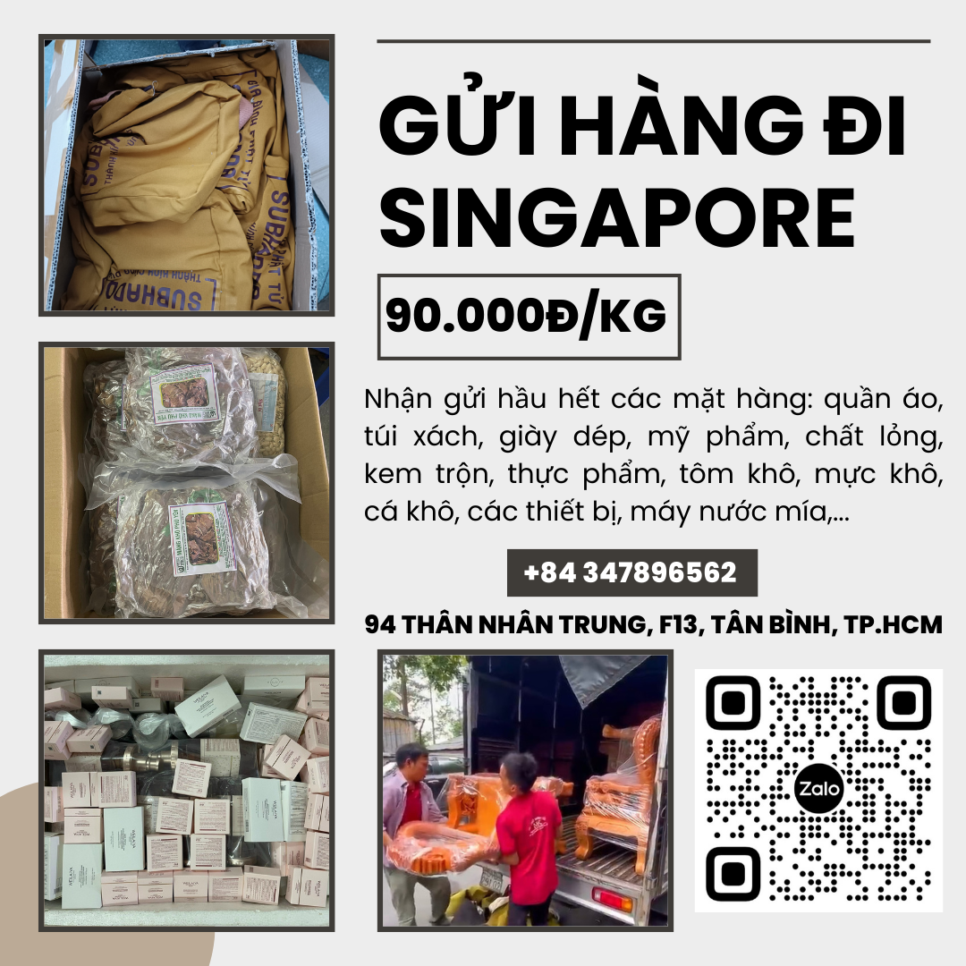 Gửi hàng đi Singapore giá rẻ _ Tiến Việt Express