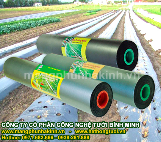 Bình Minh cung cấp màng phủ nông nghiệp cao cấp,màng phủ nông nghiệp loại tốt,màng phủ nông nghiệp