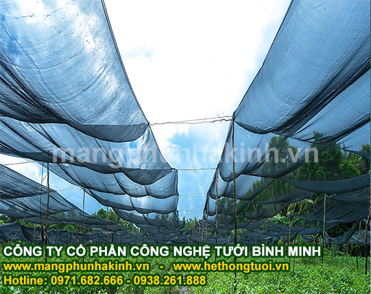 Bình Minh nhập khẩu cung cấp lưới che nắng Thái Lan tại Việt Nam,lưới che nắng Thái Lan chính hãng