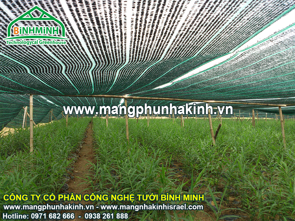 Bình Minh nhập khẩu cung cấp lưới che nắng Thái Lan tại Việt Nam,lưới che nắng Thái Lan chính hãng